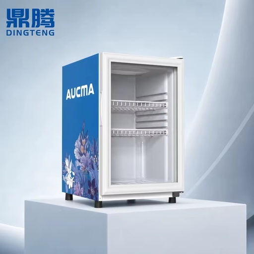 ST Climate Class Commercial Beverage Cooler with Mechanical Thermostat for Efficient Drinks Display Refrigerator