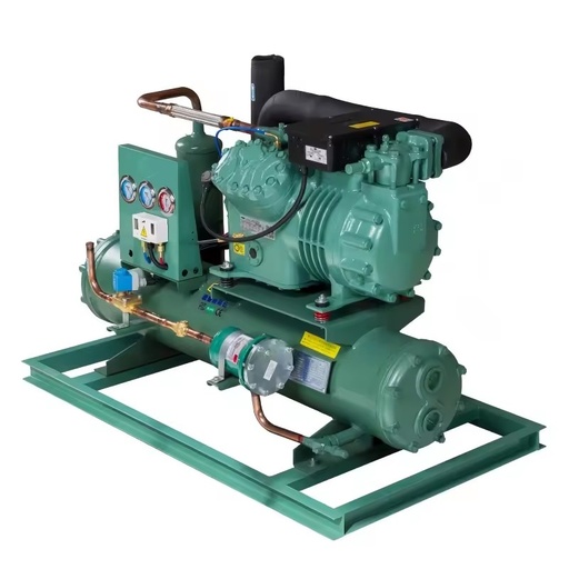 Commercial Energy Saving Automatic Water Cooling Rotary Refrigerant Unit for Seafood Quick Freezing Blast Chiller Room