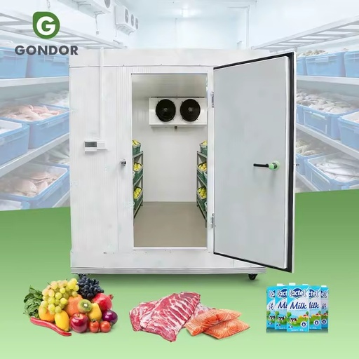 Cold Chamber Storage Room Meat Seafood 20ft Refrigerator Freezer Motor Energy Saving Commercial Use Removable Container Silver