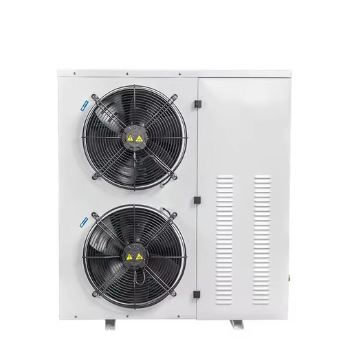 Cold Storage Room Single Phase Rotary Compressor Refrigeration Unit Air Cooled Condenser -20C 8C 9270W Cooling Capacity R507