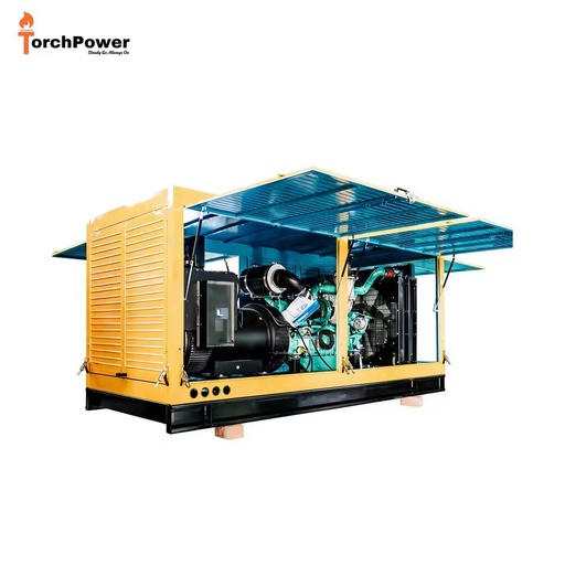 Support Customization 200KW 250KVA Alternator Electricity Generator Automatic Remote Start 240V 400V Genset with Rain Cover