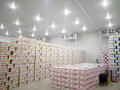 Customized Large Automatic Solar Emerson Pump Cold Storage Turnkey Cold Room Warehouse with Solutions