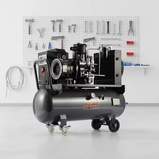 Single 4KW/10Bar/160L Phase 2-in-1 Screw Air Compressor for Auto Repair Manufacturing Construction Screw Air Compressor