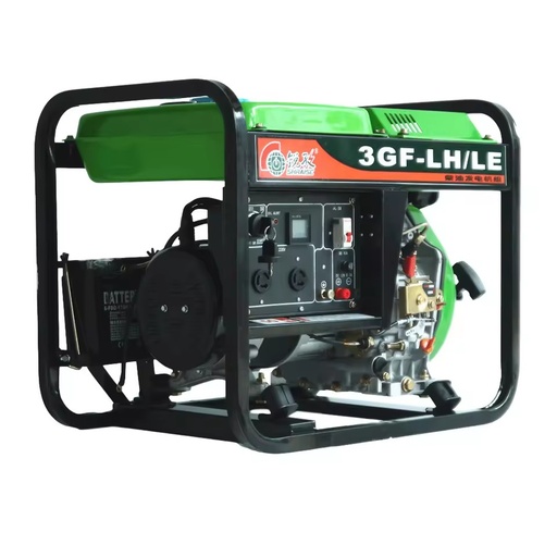 3GF-LE 3 KW Electric Power Generator Generators From Avr