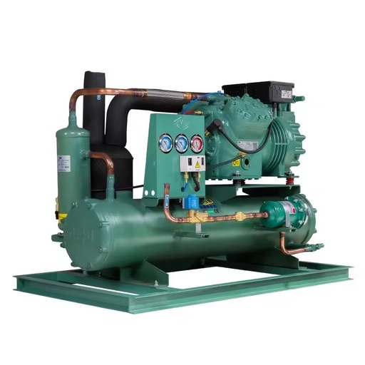 Energy Saving Automatic Refrigeration Equipment Condensing Unit with Rotary Compressor and Motor for Cold Room