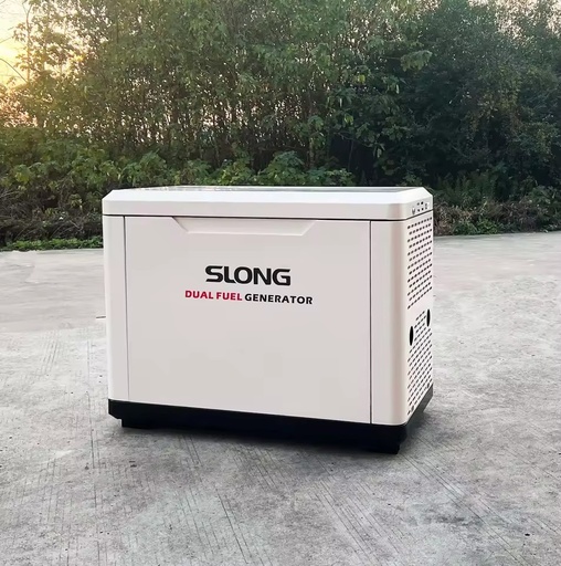 Silent Dual Fuel LPG Gas Generator 5kW 220V/380V Home Backup Power Outdoor Events Remote Locations Portable Electricity Supply