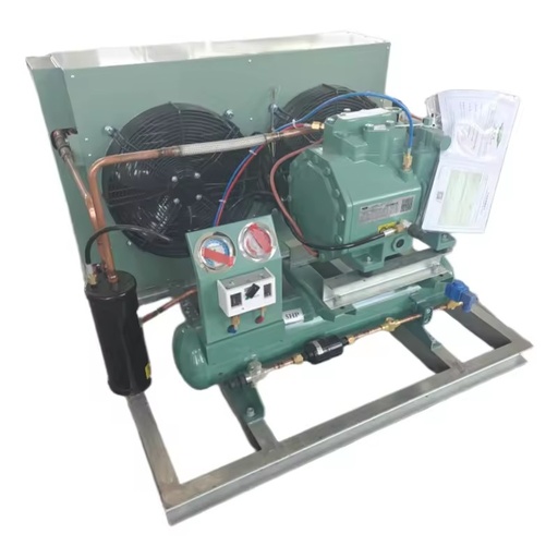 Energy-Saving Freezer Condenser Retail Unit with Low Noise Piston Refrigeration Compressor