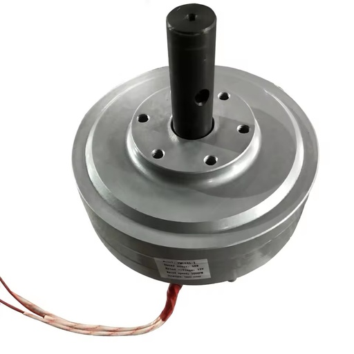 Portable Inner Rotor Coreless Armature Axial Flux Permanent Magnet Generator 100W 12V/24V CE Certified Small Size