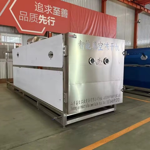 High Precision Stainless Steel Automatic Energy-Saving Lyophilizer Vacuum Freeze Dryer for Food Processing