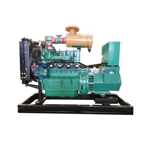 Clean Electricity Natural Gas Biogas Syngas Biomass Gas Remote Start & Auto Start IP55 50/60Hz Generator Set