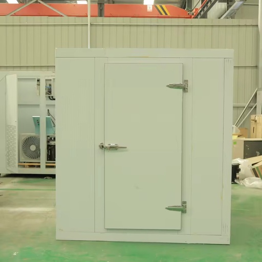 Cold Storage Cold Room Cooling System, Blast Freezer Room for Meat and Fish