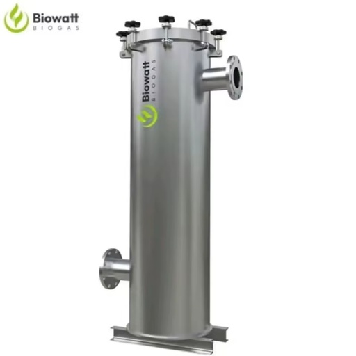 Small to Industrial Biogas Generator Set and Bio Gas Engine for Biogas Power Plant Project Installation