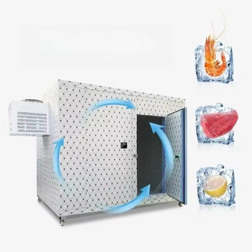 Portable Freezer New 8ft 10ft 20ft 40ft 20 Ft Cold Container Refrigerator Storage Room for Fruit and Vegetable Used