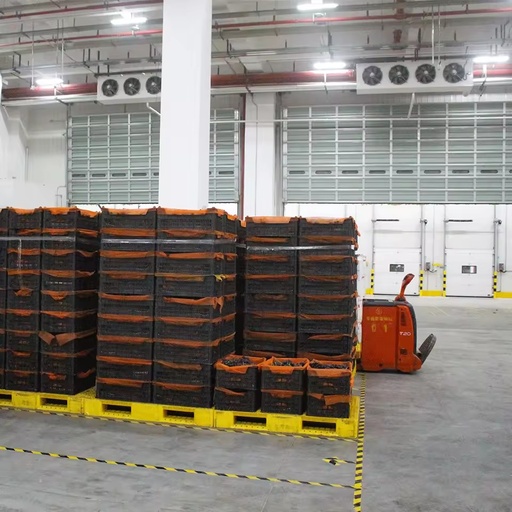 Walk-in Cooler for Supermarkets with Motor and Pump Energy Saving Long Service Life Reliable Daily Cold Storage