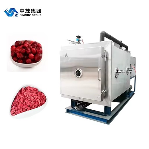 Large Industrial Vacuum Freeze Drying Equipment for Factory Food Production Long Service