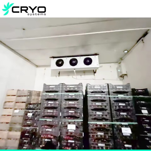 New Large Scale Cold Storage Motor Pump Fruit Vegetable Storage Energy Saving High Productivity Quick Freezing