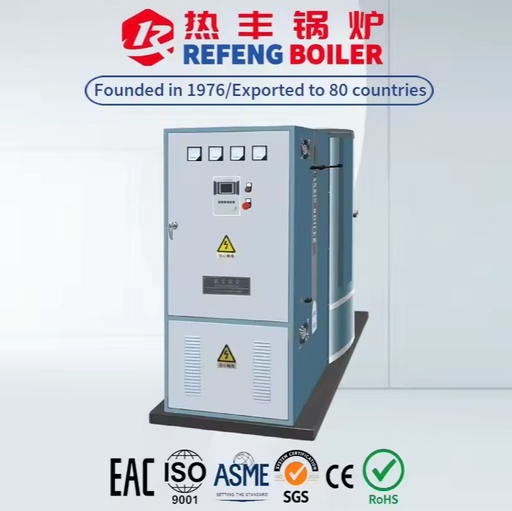 LDR0.2t 144KW Electric Steam Generator for Plywood Wood Processing Line Continuous Dry Steam Supply Custom 50/60Hz Voltage