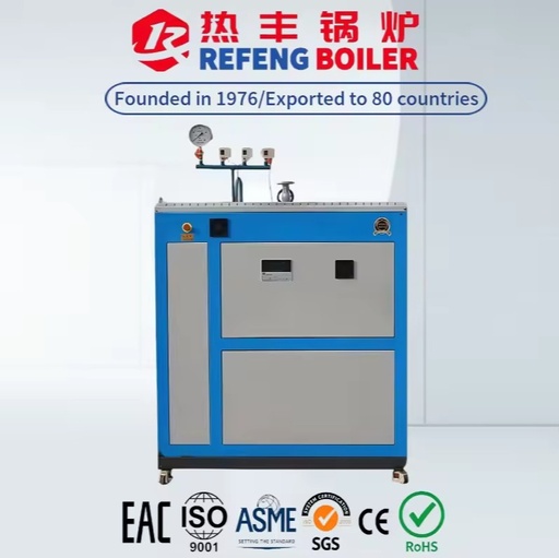 LDR 0.5t Vertical Electric Steam Generator for Food Factory Sterilization Concrete Maintenance