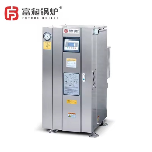 Future Mini Electric Steam Generator 54KW LDR 0.75-0.7 Vertical Style Automatic Low Pressure Industrial Food Milk Processing