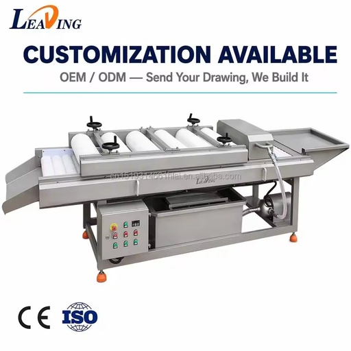 Industrial Automatic Palm Dates Brush Cleaning Machine Soft Brush Polishing for Fresh Dried Medjool Rabbi Dates Processing Line