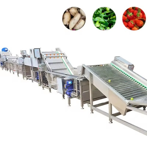 Industrial Multifunctional Vegetable & Fruit Washer Machine for Spinach Lettuce Corn Processing Food Grade