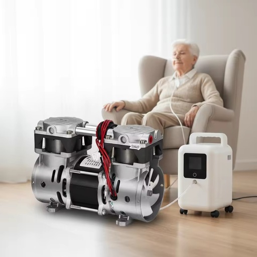 High Pressure Oil Free Biogas Compressor Pump for Medical Oxygen Concentrator 5L air Compressor