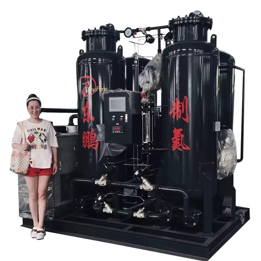 Automatic Economical PSA Nitrogen Gas Generation Plant for Oil Industry Core Components Including Pump and PLC