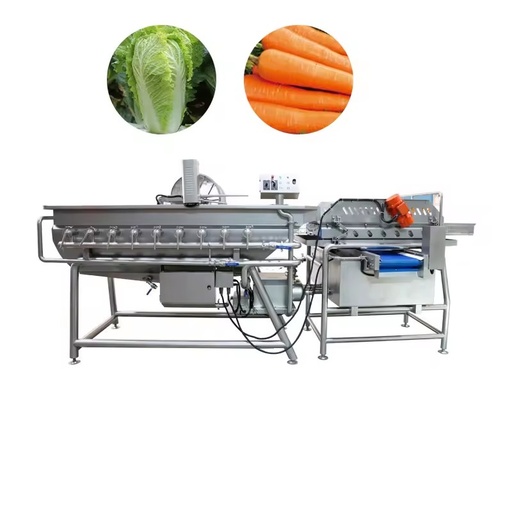 Multifunctional Vegetable and Fruit Washer Cleaning Machine with Food Grade SUS 304 for Fresh Cut Processing and Corn Handling