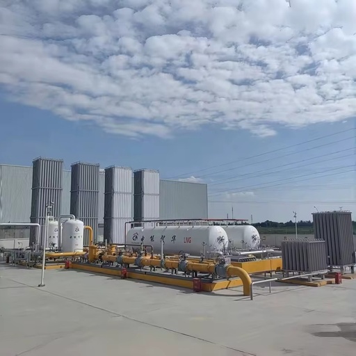 High Quality 1000nm3/H LNG Gasification Station Includes Core Component-Pressure Vessel LNG Tank and Vaporizer
