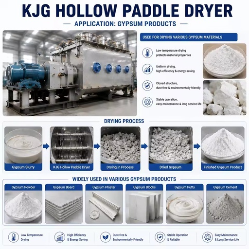 Automatic Rotary Drum Sludge Paddle Dryer with PLC and Gear for Gypsum Slag Mineral Ore Processing