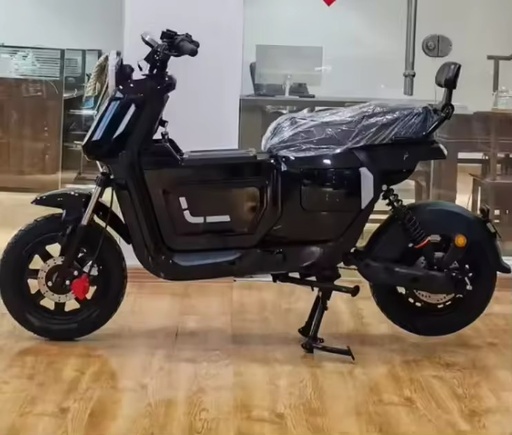 1500W Motor Urban commuter Electric Two-wheeler, Popular Adult Electric Motorcycle