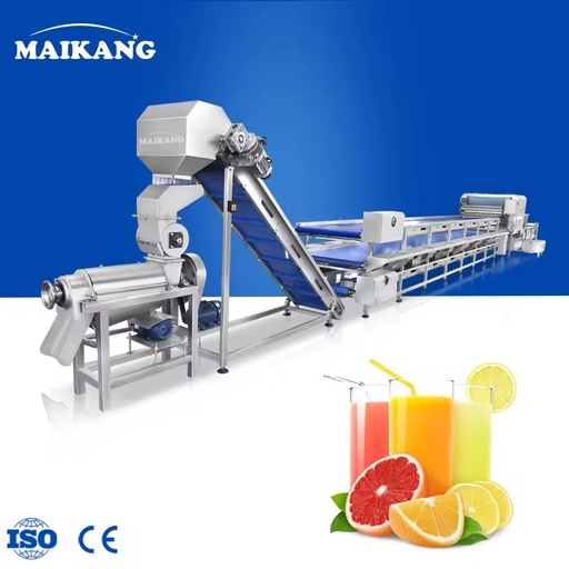 Customizable Small and Medium-sized Models Fruits Juice Extraction Process Equipment for Juice Processing Manufacturer