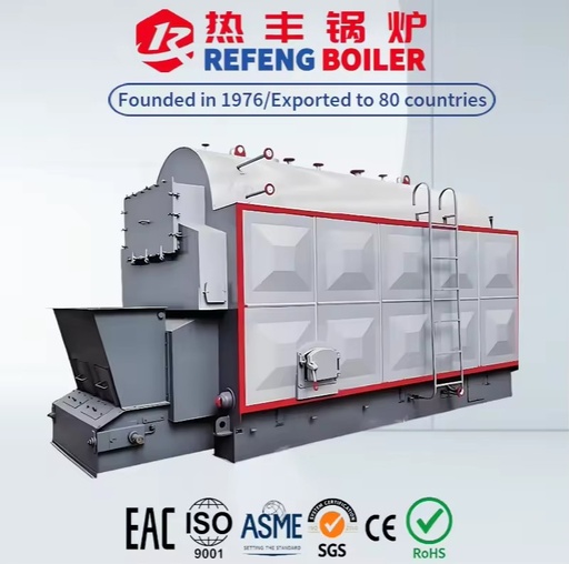 DZL 8Ton Heavy Duty Chain Grate Boiler Fired Wood, Coal and Biomass for Chemical Factory Sterilization
