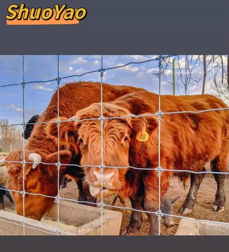 High-quality Custom Steel Wire Bull Fence Panels Bull Fence Netting for Temporary Livestock Farming