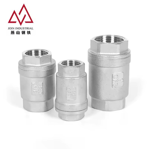 Complete Sizes Stainless Steel BSP NPT Thread Spring Check Valve Vertical Non Return Valve for Chemical Processing Equipment