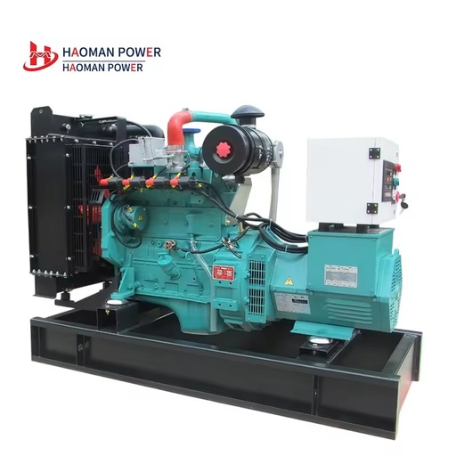 HM 20kw Biomass Biogas Natural Gas Gasifier Generator Set 95% Efficiency Syngas Power Generator ISO9001 Certified