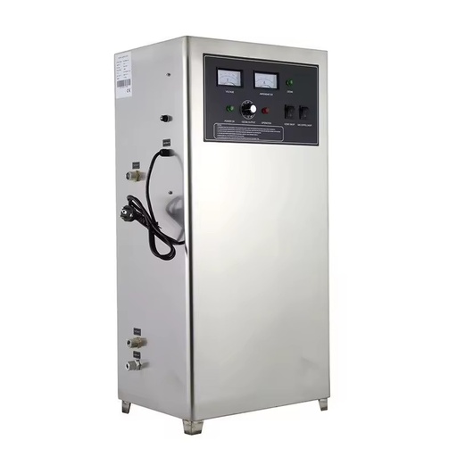 Large Ozone Generator 50g/h 100g/h Stainless Steel Industrial Grade with Pump Motor PLC for Municipal Water Treatment Plant