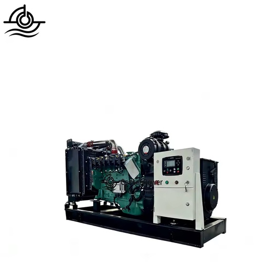 50/70/100kW Biomass Gasifier Natural Gas Powered 95% Efficiency Dual Cooling System Multi-Voltage 50/60Hz Power Generator