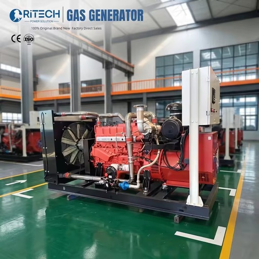 Natural Gas Power Plant 20kva 25kva 80kva 100kva 200kva 250kva 325kva Natural Gas Generator AC 3 Phase High Efficiency