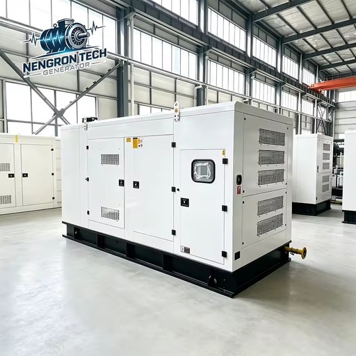 Silent Type LPG Generator Natural Gas Generator Set with Quick Start for Emergency Power Supply