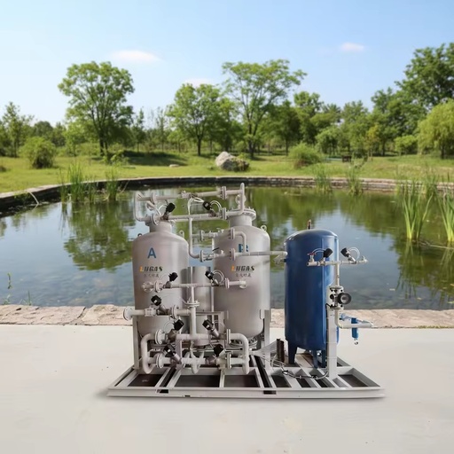 CE Certified Source Factory Complete Installation of PLC Controlled Pressure Swing Adsorption Oxygen Generator for Fish Ponds.