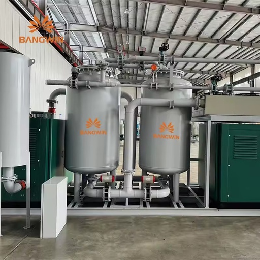 BW Hot Selling PSA Oxygen Generator Plant Manufactures Gas Making Machine with Engine and PLC Core Components