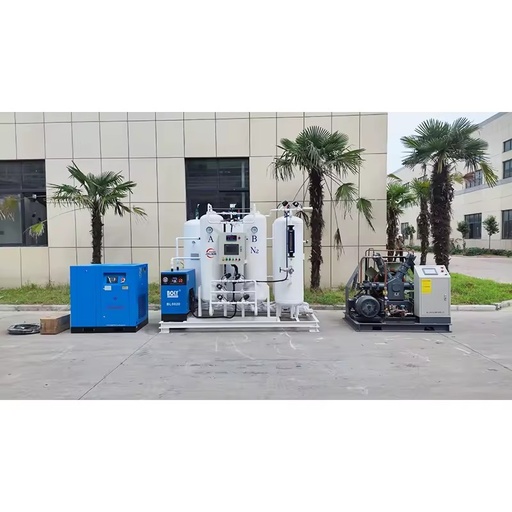 Professional Customization 150Nm3/hr 97%purity Nitrogen Gas Generating Device for New Energy Materials