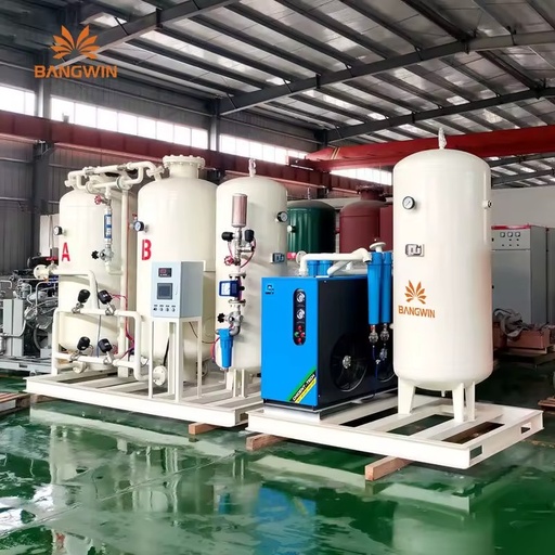 BW Hot Selling Latest Custom Logo Commercial Oxygen Gas Generator PSA Technology with Engine and PLC Core Components