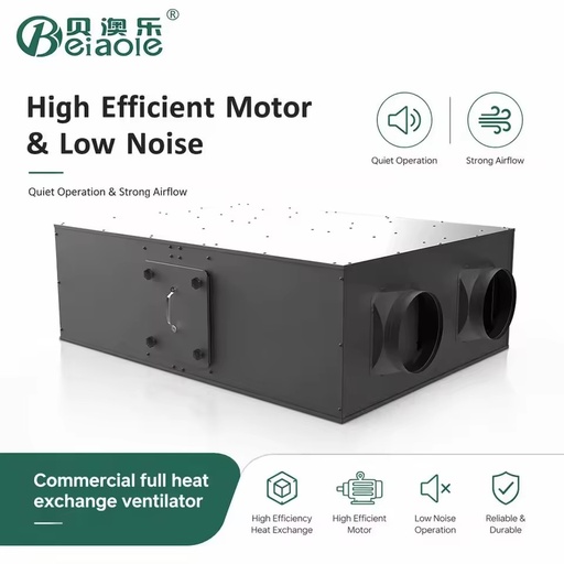 Energy-Efficient Galvanized Steel Plate Commercial Office Energy Recovery Ventilator 8000 M/h Low Noise Heat Exchanger