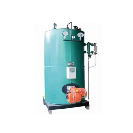 Vertical Steam Generator Biomass Fuel Automatic Control | Heating Bath Electroplating Phosphating Equipment 100-500kg/h Output