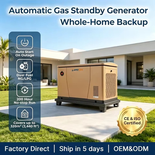 12kW Natural Gas LPG Standby Generator with Flexible Installation and Durable Outdoor Protection