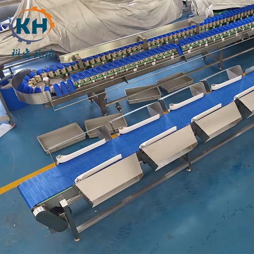Eco Energy Friendly Enclosed Cabinet Weight Sorting Machine Reliable Grading for Food Production Operations