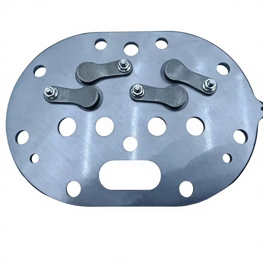 Semi-Hermetic Stainless Steel Refrigerator Compressor Valve Plate Assembly DLSG for Copeland